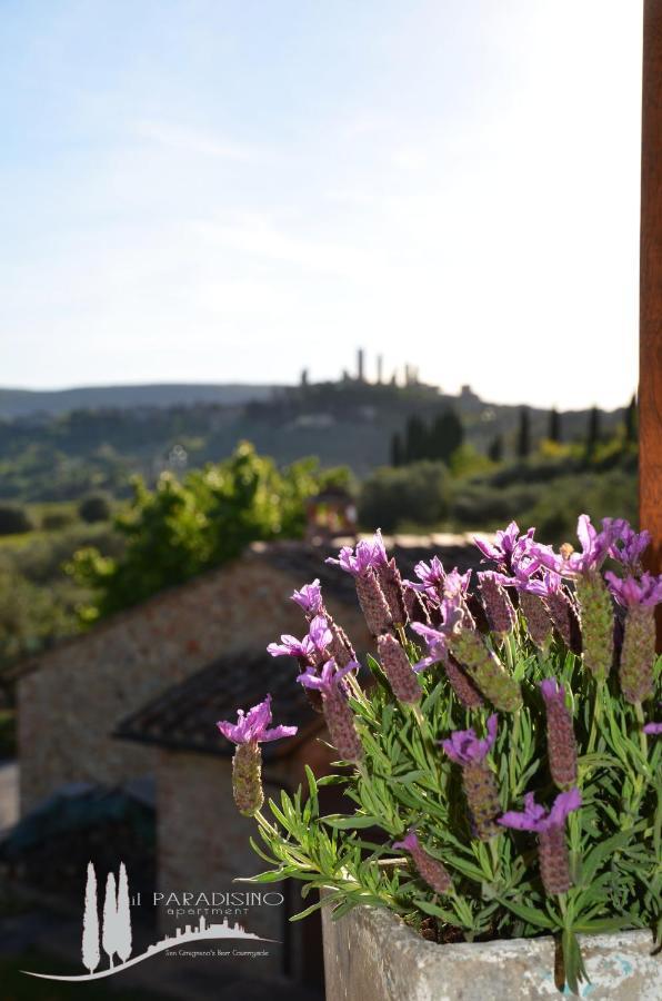 Il Paradisino San Gimignano'S Best Countryside 외부 사진